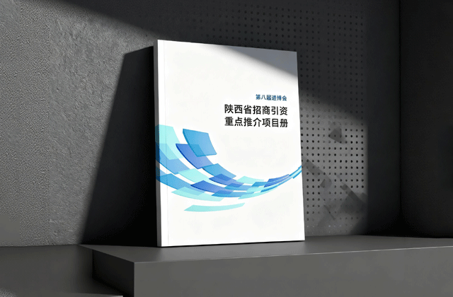 陕西省画册设计｜政府画册策划设计